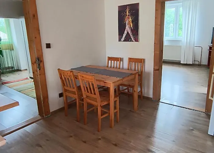 Ve Druhem Patre S Parkovanim Ostrava